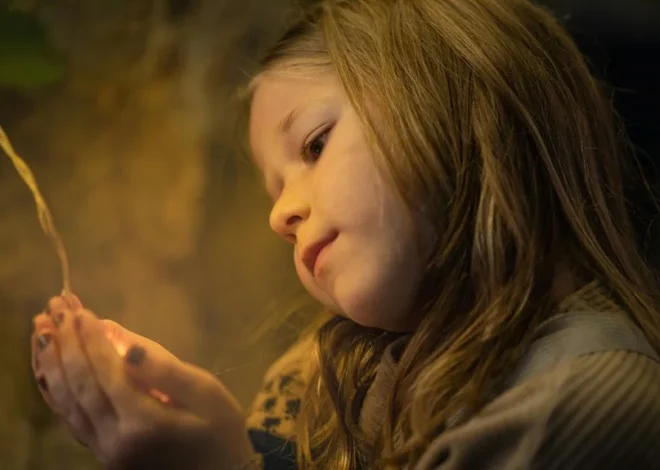 Unicorndelight88: The Art of Curated Wonder in a Digital Age